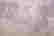item-105911199=4