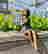 item-105915437=3