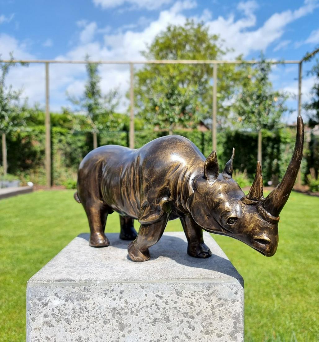 Bronze sculpture of a rhinoceros - Bronze animals - (1 of 12)