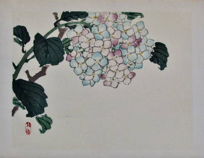 Bairei: Hydrangea: Artist: KÃ´no BAIREI (1844-1895); Subject: Hydrangea; Series: Bairei Drawings; Publisher: UnsodÃ´; Signature: Bairei; Date: 1903 (this later); Format: chÃ»ban, 27.4 x 21.3 cm; Condition: Fine