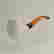item-105981008=2