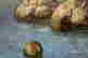 item-105983513=2