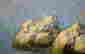 item-105983513=3