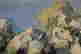 item-105983513=4