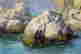 item-105983513=6