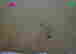 item-105983513=7