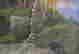 item-105983515=5