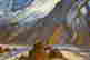 item-105983520=5