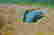 item-105983522=2