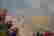 item-105983524=4