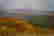 item-105983525=2