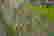 item-105983525=6