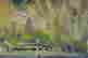 item-105983531=6