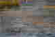 item-105983532=2