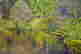 item-105983534=5