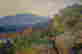 item-105983546=4