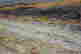 item-105983547=5