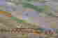 item-105983547=6