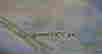 item-105983784=5