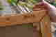 item-105983784=7