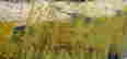 item-105983786=6