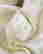 item-105991119=7