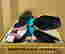 item-106071513=4
