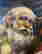 item-106188920=5