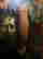item-106189020=3