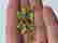 item-106107284=7