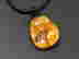 item-106111639=5