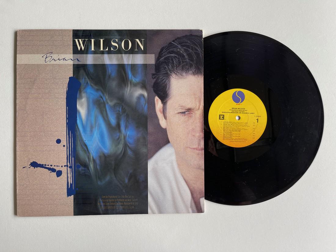 Brian Wilson – Brian Wilson: Title: Brian Wilson – Brian Wilson Provenance/Additional Info: Brian Wilson – Brian Wilson Label: Sire – 1-25669, Sire – 9 25669-1, Reprise Records – 1-25669, Reprise Records – 9 25669-1 F