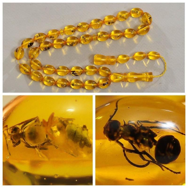 Baltic amber rosary insects inclusion imam mala spider (1 of 19)