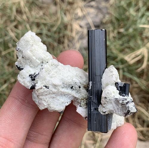 43 Gram Amazing Natural Black Tourmaline Specimen (1 of 3)