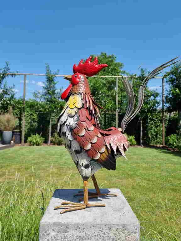 Colorful Rooster - Garden Rooster - Metal garden (1 of 12)