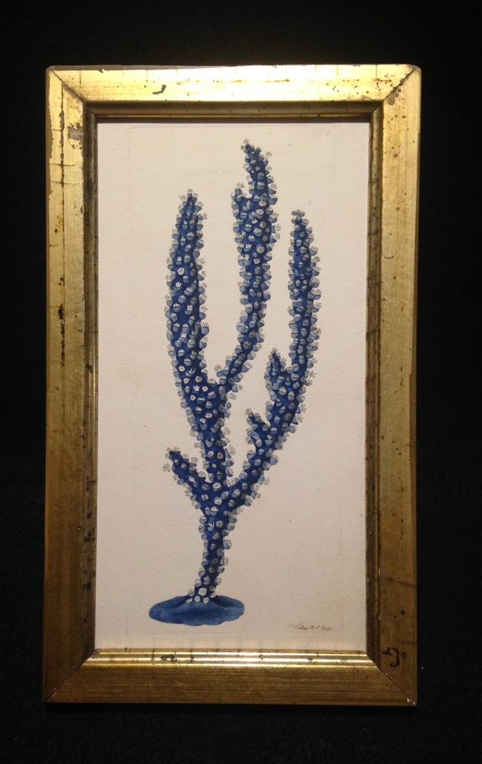 C1800 hand colored copperplate engraving in GC (1 of 3)