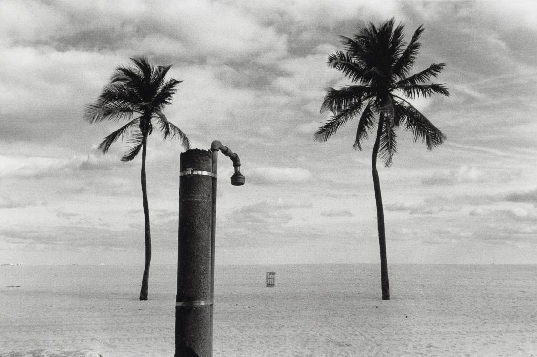 ELLIOTT ERWITT - Miami Beach, Florida, 1984 (1 of 1)