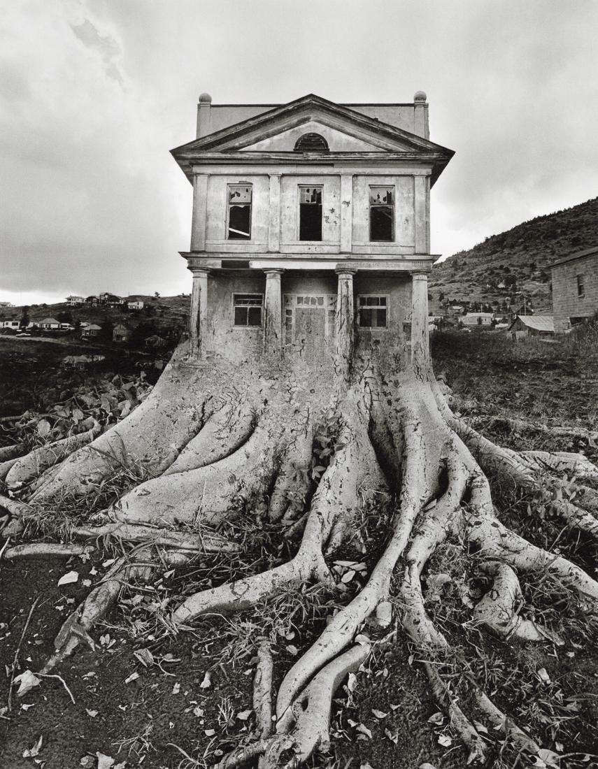 JERRY UELSMANN - Untitled, 1982 (1 of 1)