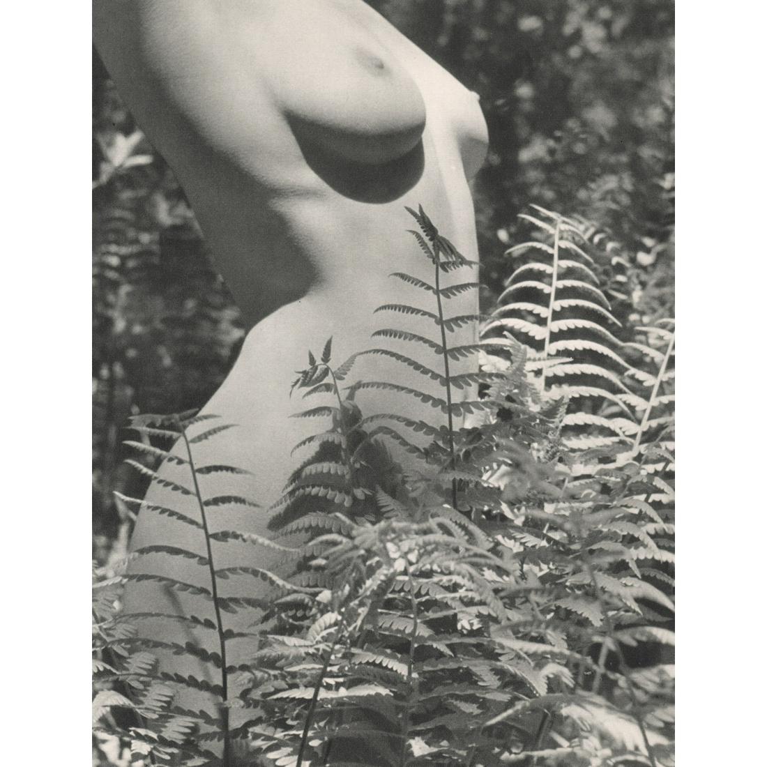 FRITZ HENLE - Nude: Artist: FRITZ HENLE Print Title: Nude Medium: Sheet-fed Gravure Printing Date: 1950's Printed in France Image Size approx: 11.5 x 8.75 inches Fritz Henle was a German-born photographer, known as "Mr. 