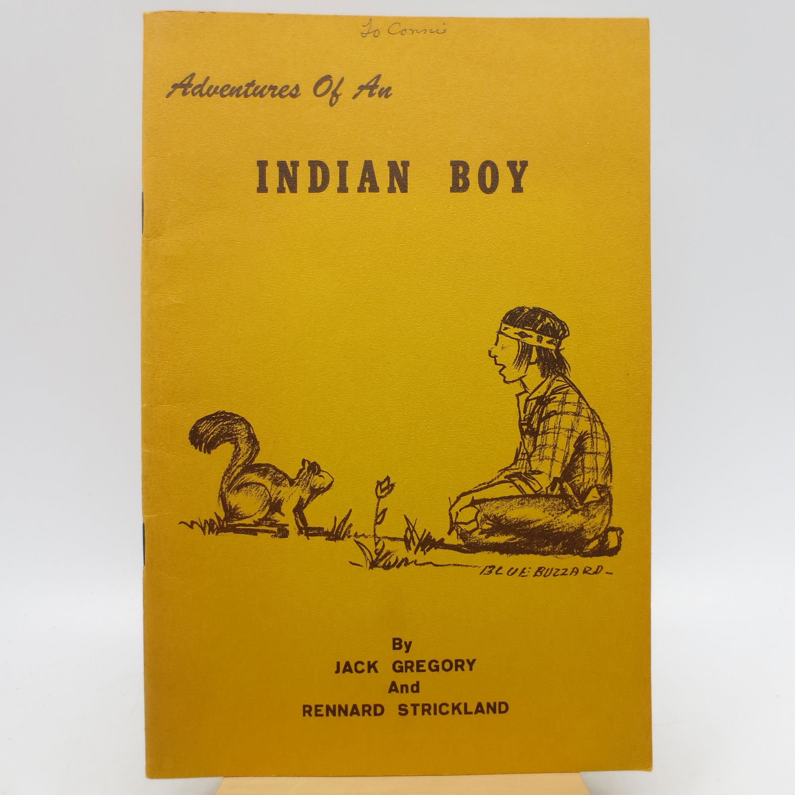 Adventures of an Indian Boy (First Edition) (1 of 1)