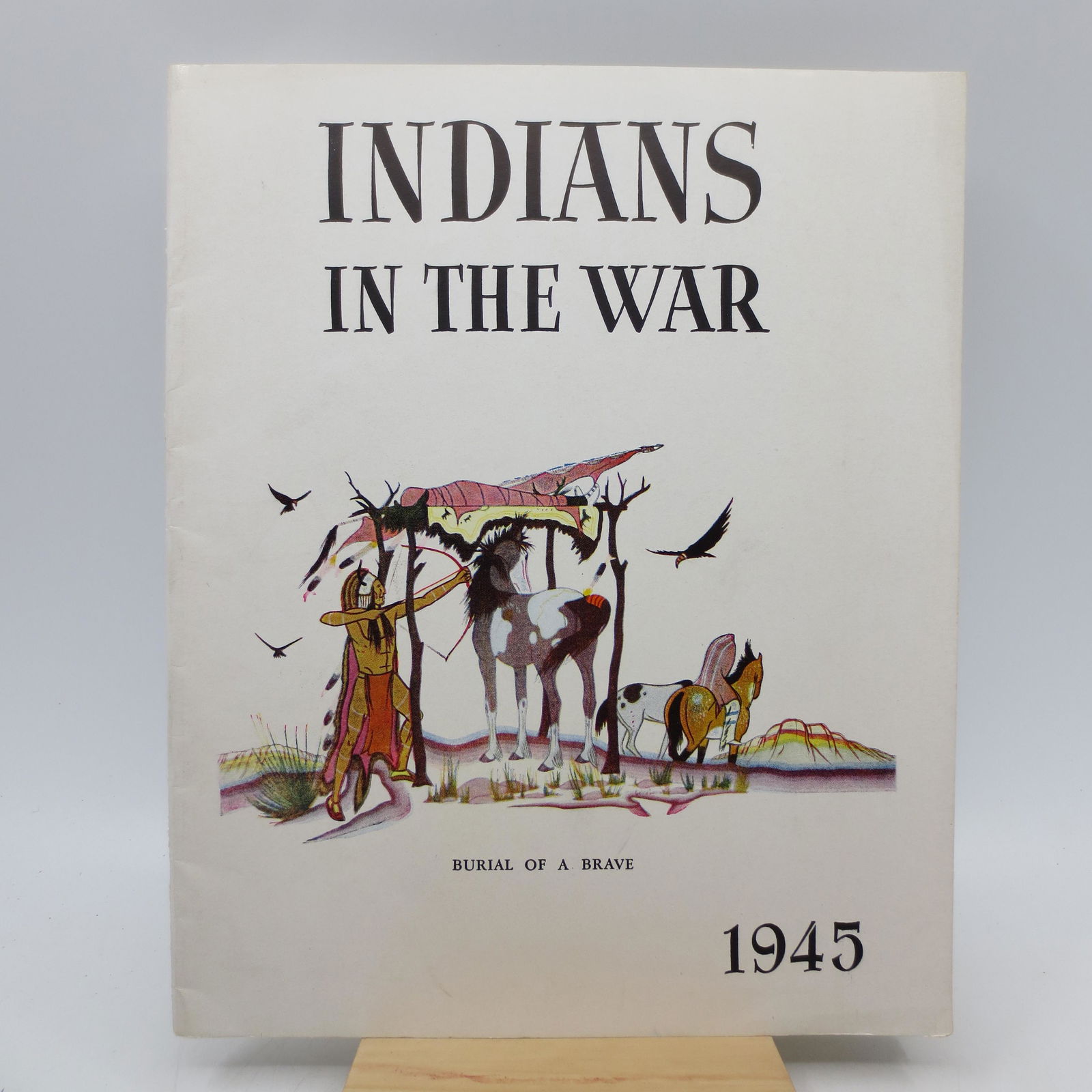 Indians in the War (1 of 1)