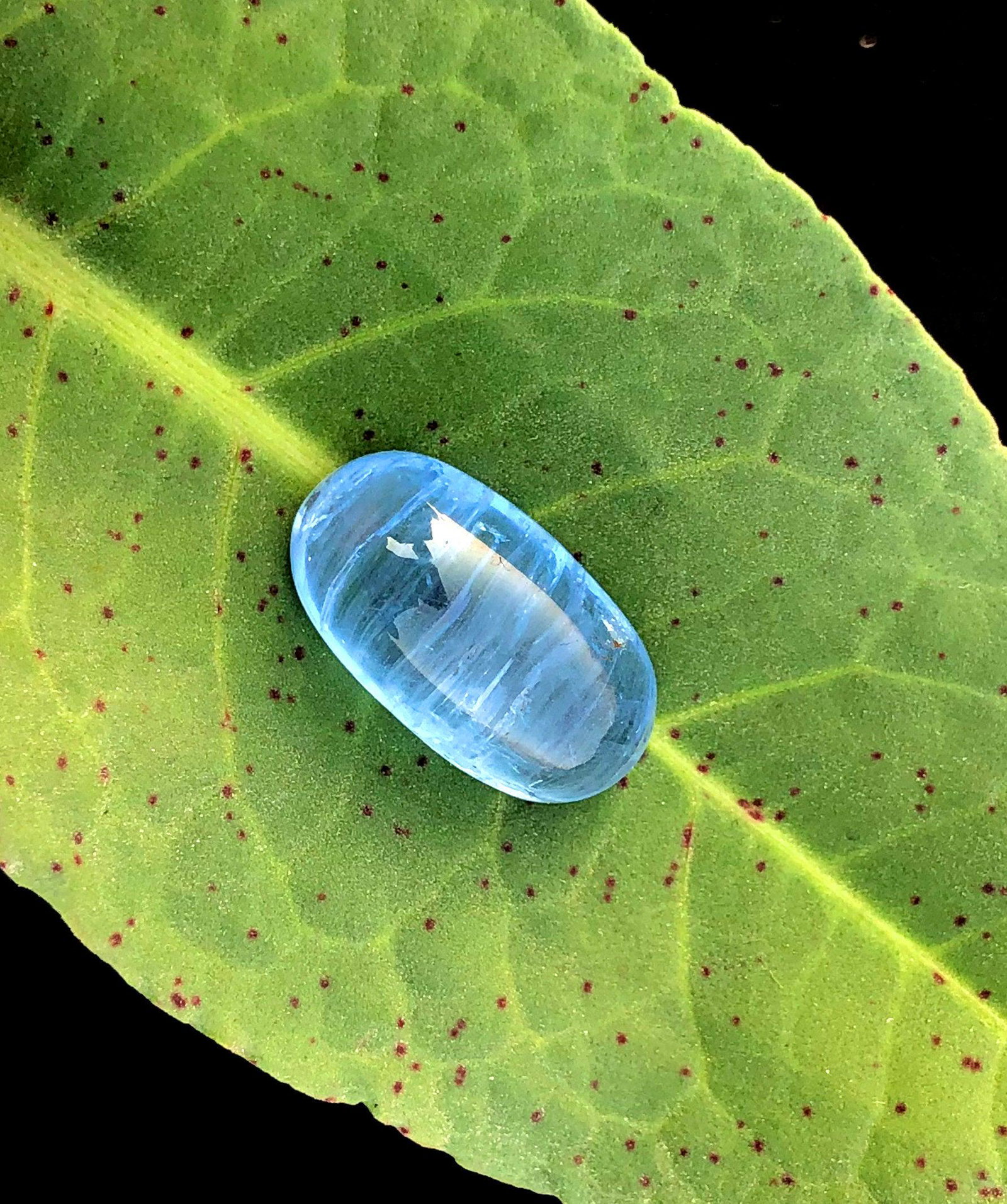 Aquamarine Gemstone ~ Natural Oval Cabochon - Losse: Aquamarine Gemstone ~ Natural Oval Cabochon - Losse Gemstone Dimensions (mm) * 18*11*8 mm Weight (carats) ~ 10.65 Carats Treatment : Natural Origin : Pakistan DHL Global Reserve: $100.00 Shipping: