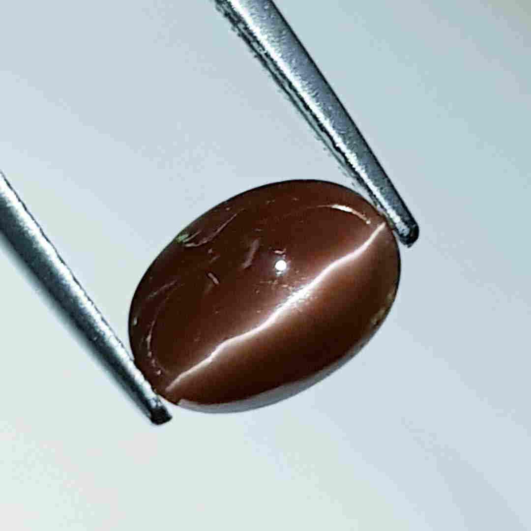 2.66 ct Natural Scapolite Cat's Eye: No Reserve! Title: 2.66 ct Natural Scapolite Cat's Eye Color/Clarity: Opaque Carat Weight: 2.66 Size/Dimensions: 9.70 x 7.00 x 5.50 Additional Information: Oval - Africa Shipping: Domestic: Flat-rat