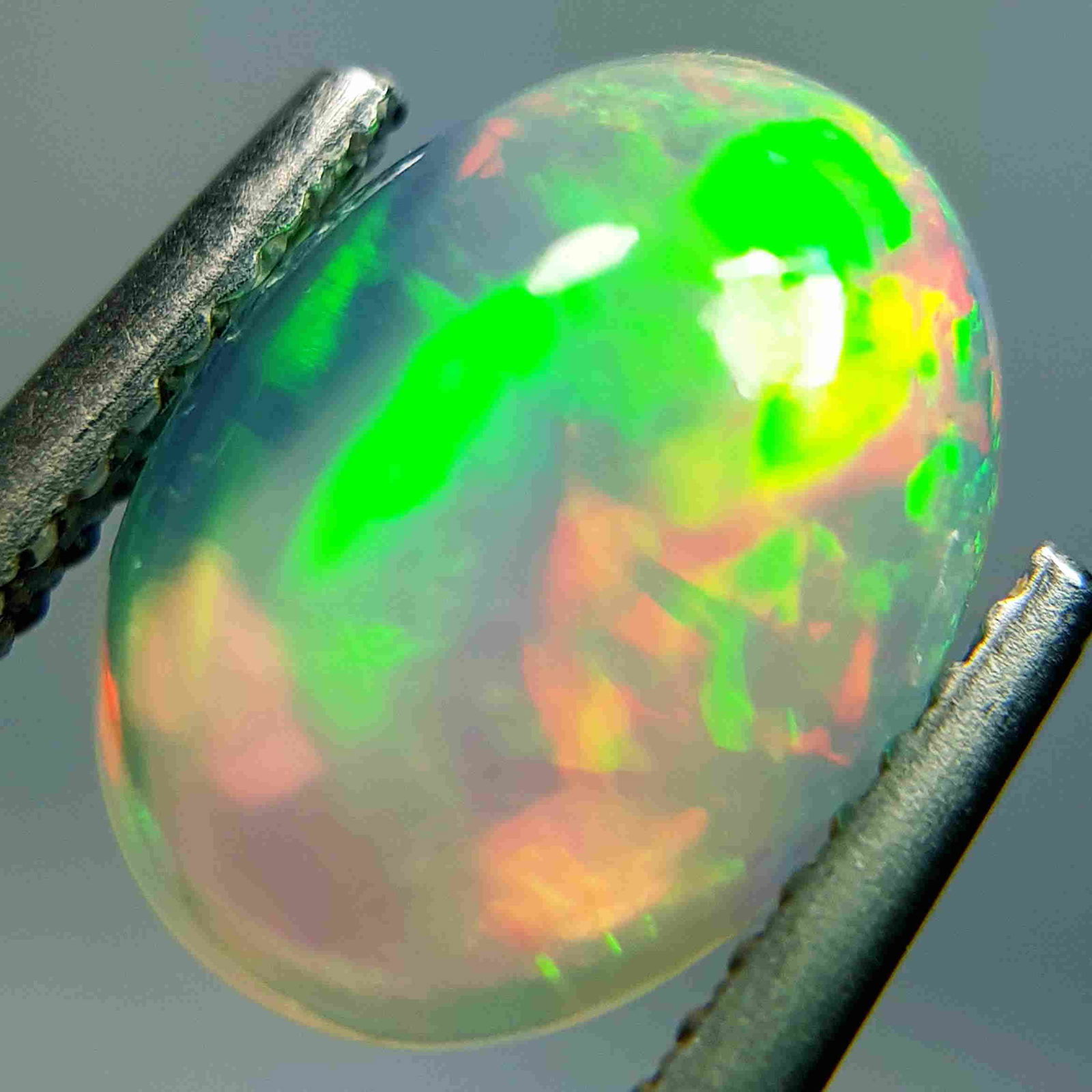 Natural Fire Opal Oval Cabochon 2.22 ct (1 of 7)