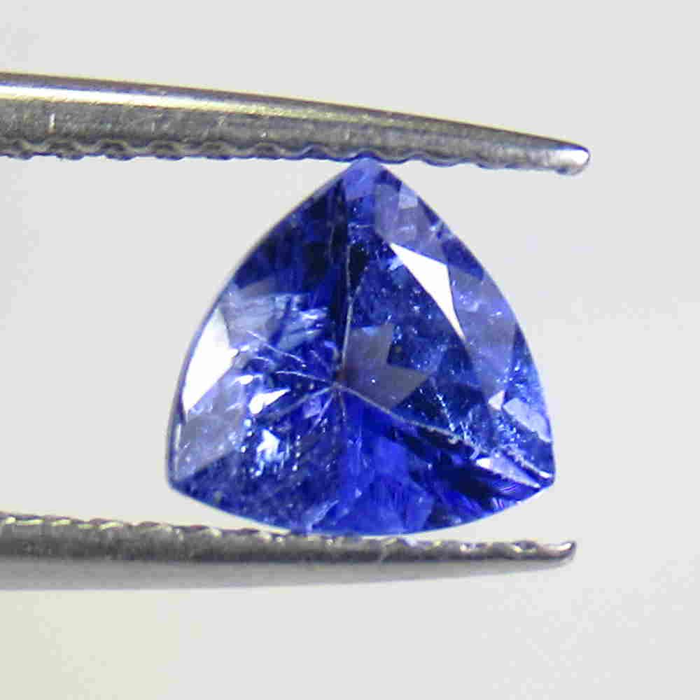 1.15 Ctw Natural Tanzanite Trillion Cut: No Reserve! Title: 1.15 Ctw Natural Tanzanite Trillion Cut Stone Clarity: VVS Gemstone: Tanzanite Carat Weight: 1.15 Size/Dimensions: 6.50 x 6.30 x 4.30 mm Additional Information: Top Class Luster / E