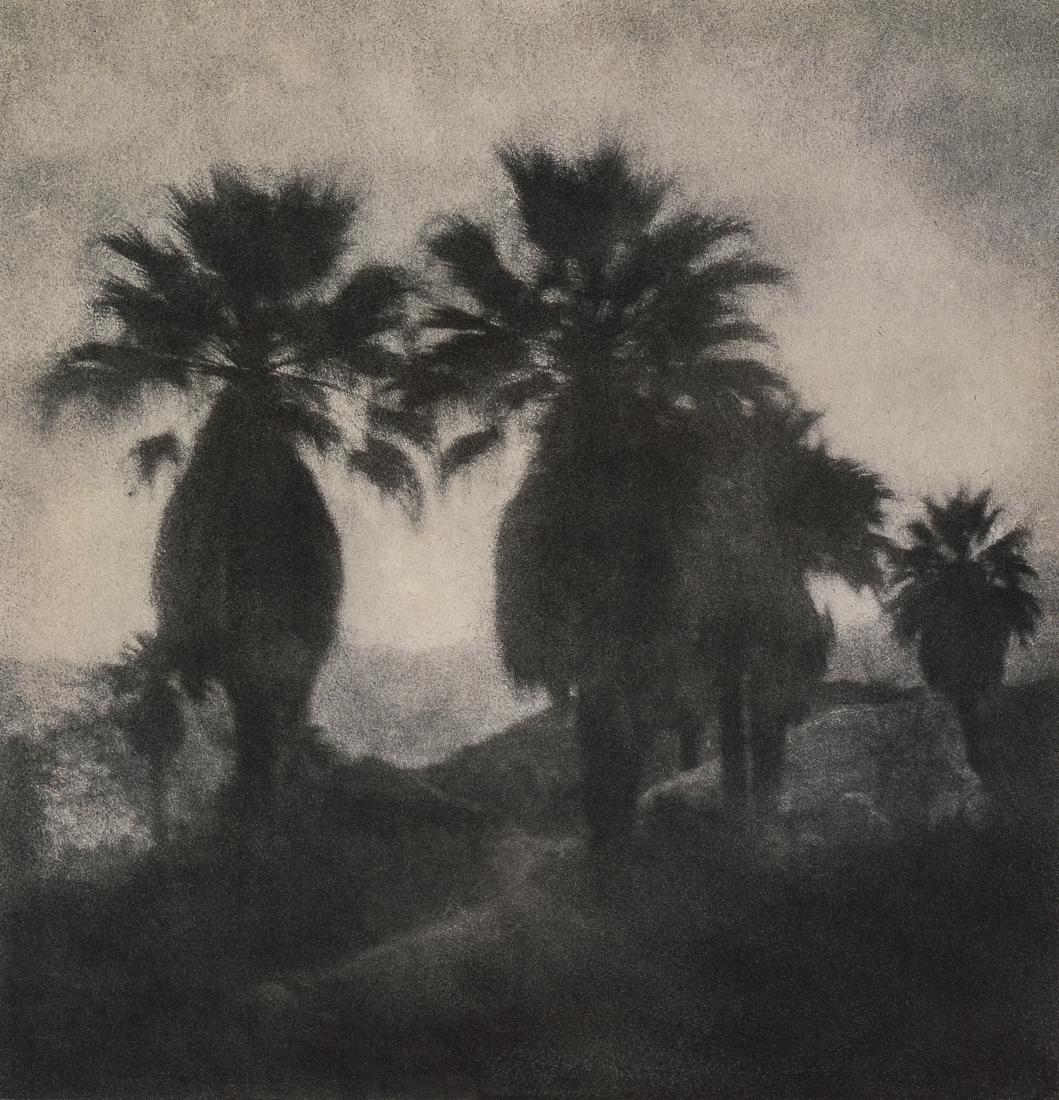 ALICE BURR - Untitled, 1925 (1 of 1)