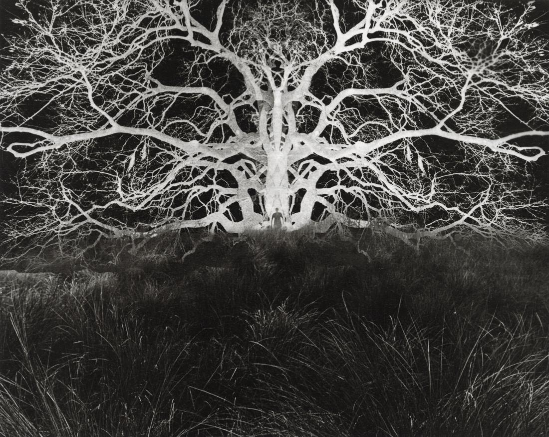 JERRY UELSMANN - Untitled, 1967 (1 of 1)