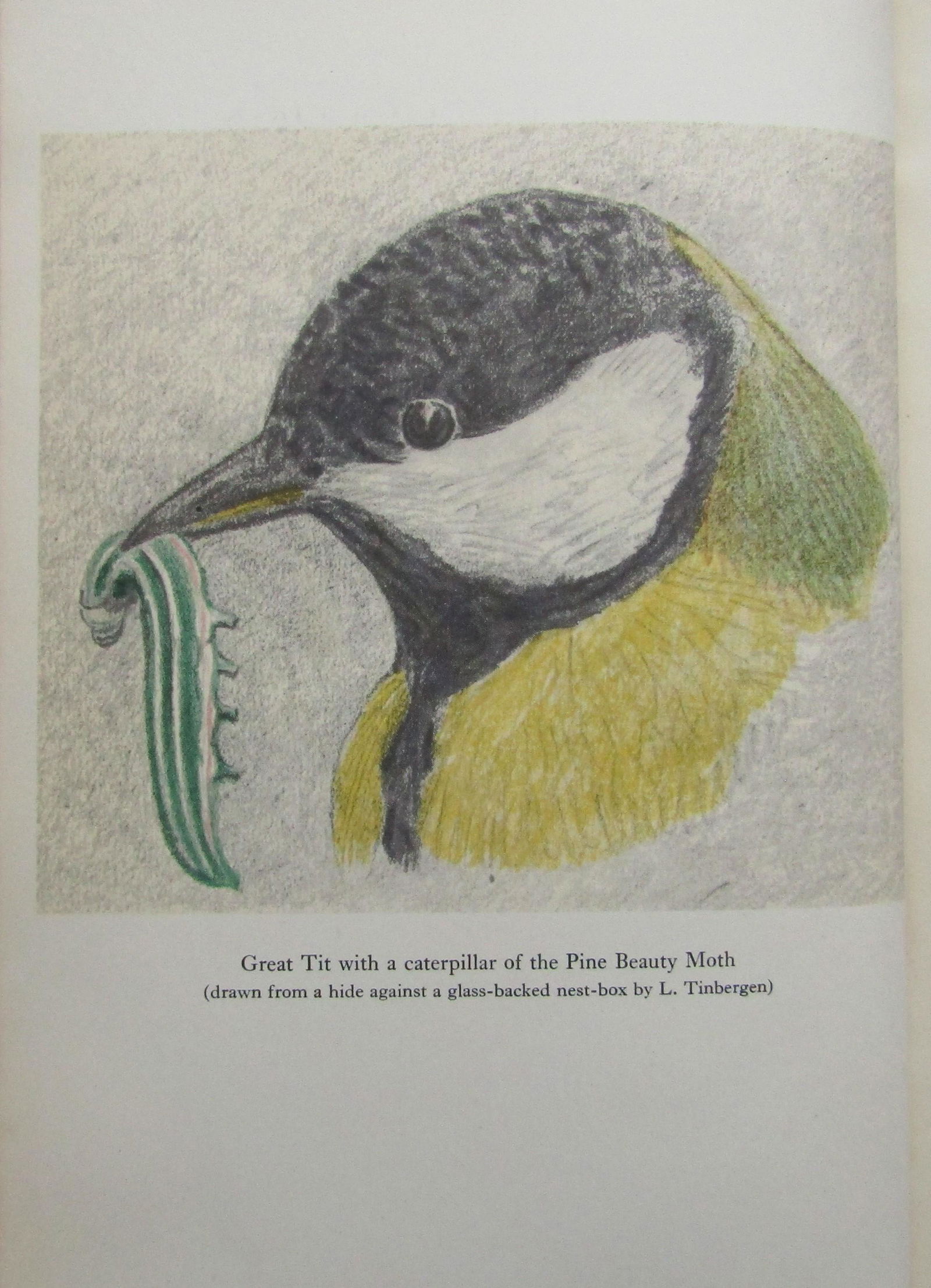 The Natural Regulation of Animal Numbers (1 of 4)