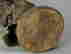 item-106841768=11