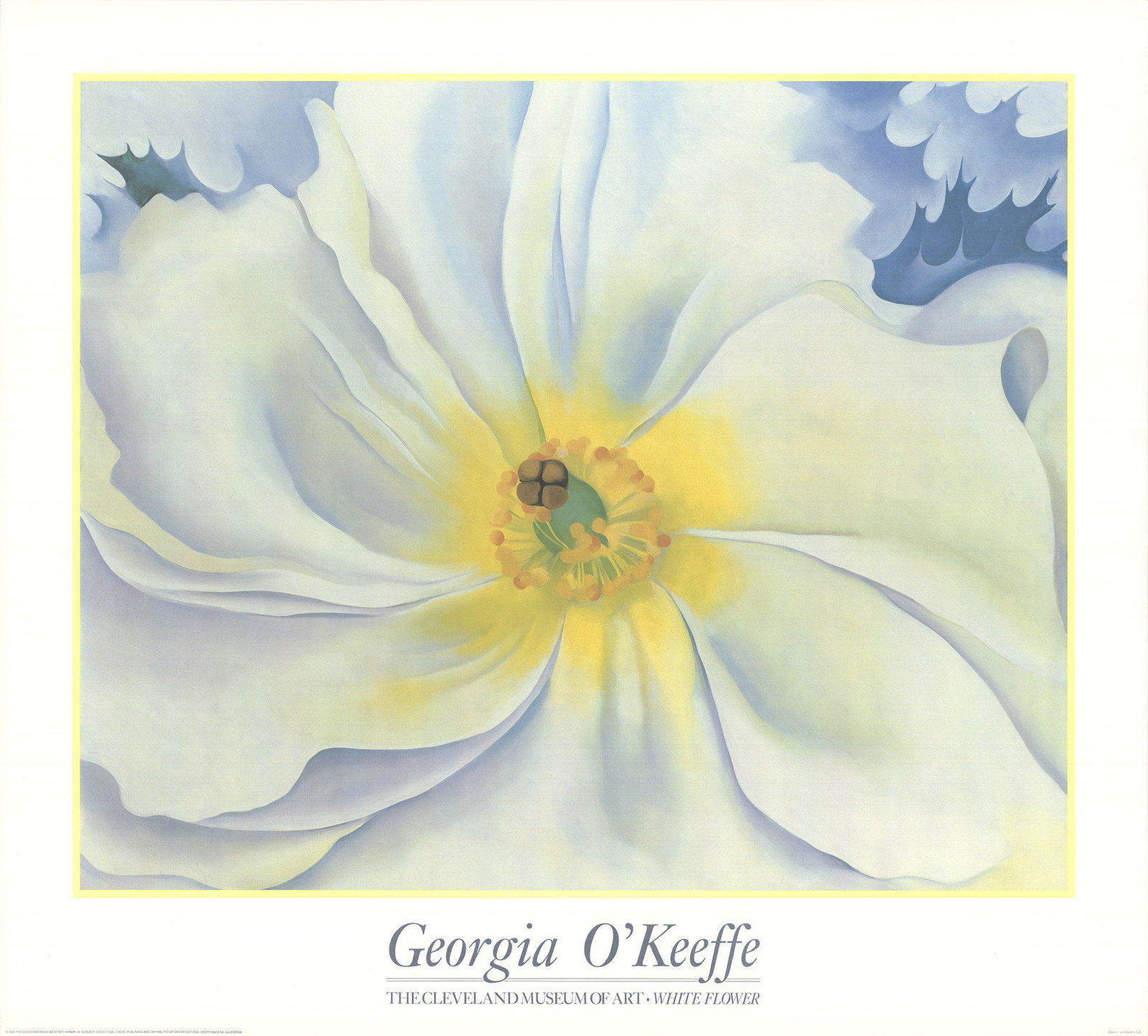 Georgia O'Keeffe - White Flower - 1989 Offset (1 of 1)